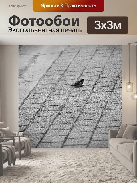 Фотообои Воробьи на земле