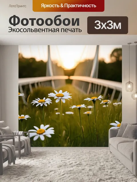 Фотообои ромашки, окруженные ненавязчивыми дикими травами, на фоне подсвеченного заходом солнца висячего моста