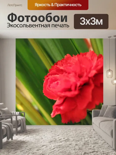 Фотообои Красный цветок