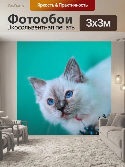 Фотообои Кошка