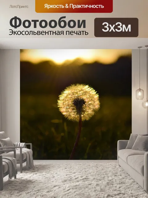 Фотообои Одуванчик