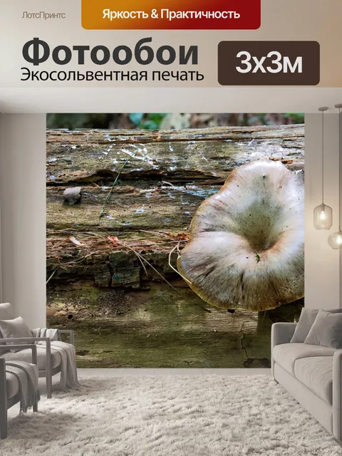 Фотообои Гриб