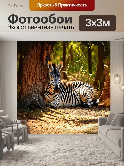 Фотообои в густом лесу, где свет пробивается сквозь ветви, заблудившаяся зебра отдыхает у подножия дерева