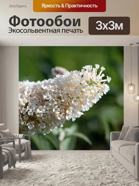 Фотообои Цветы