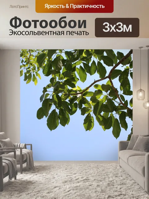 Фотообои Листы