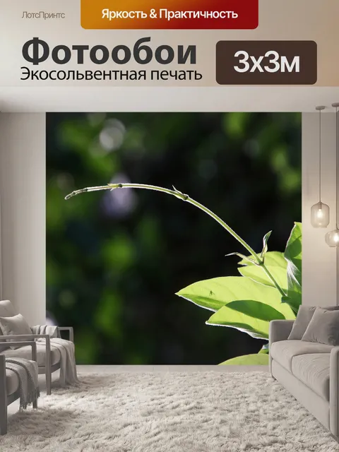 Фотообои Листья