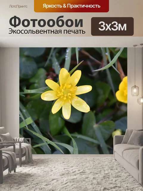 Фотообои Цветы