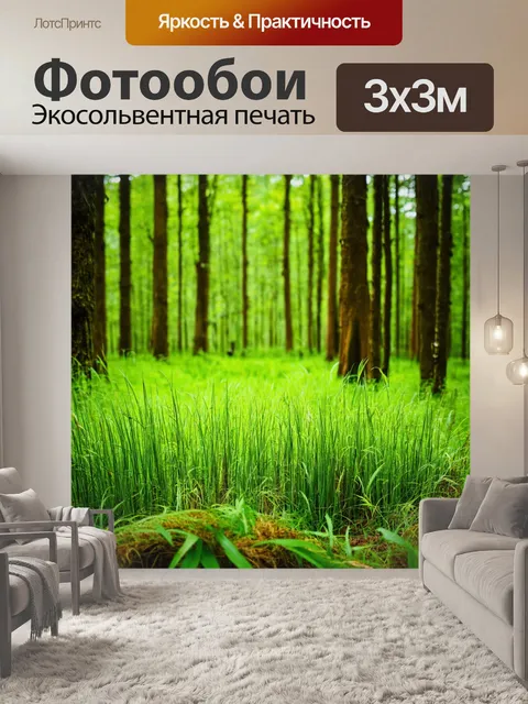 Фотообои лес с травами, которые изумляют своим разнообразием