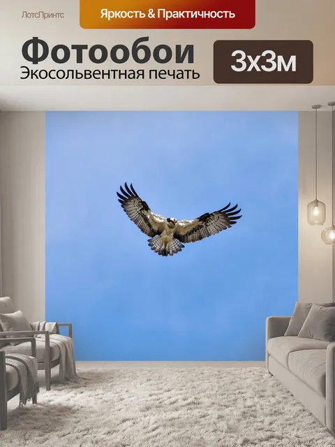 Фотообои Животное