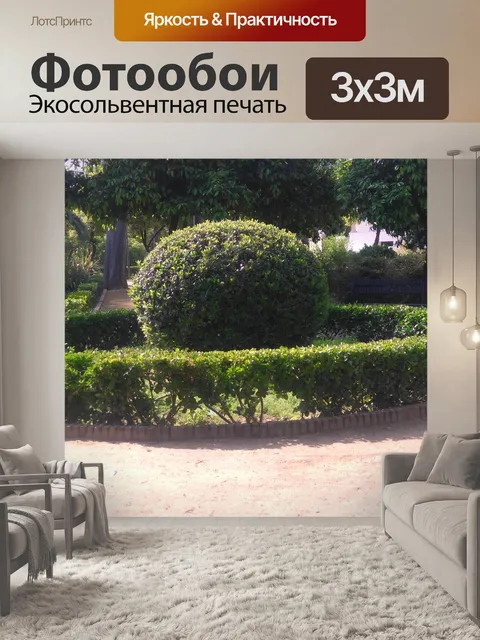 Фотообои Маленькая живая изгородь