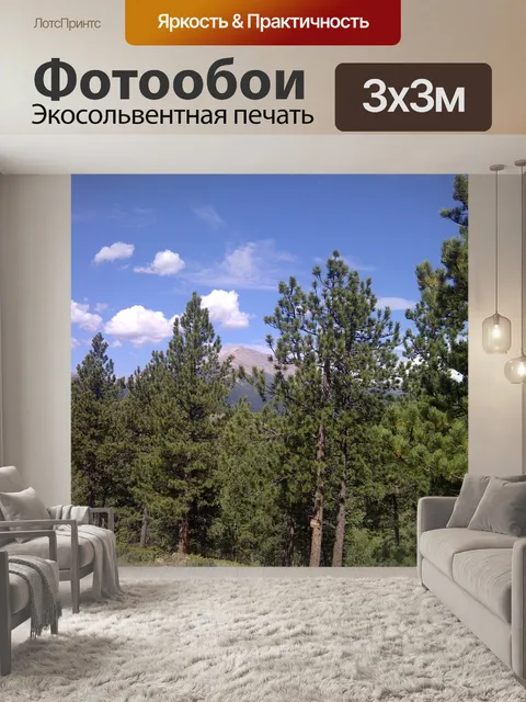 Фотообои Лес