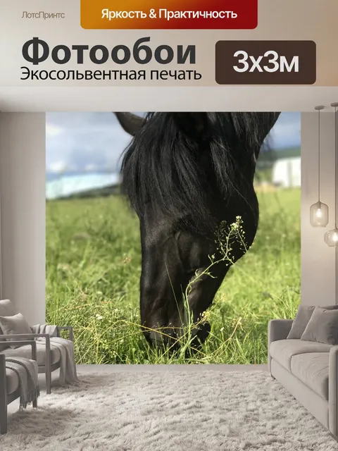 Фотообои Лошади
