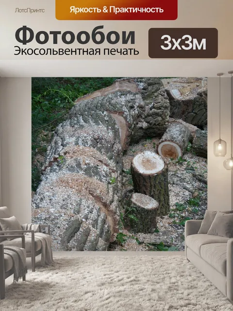 Фотообои Древесина