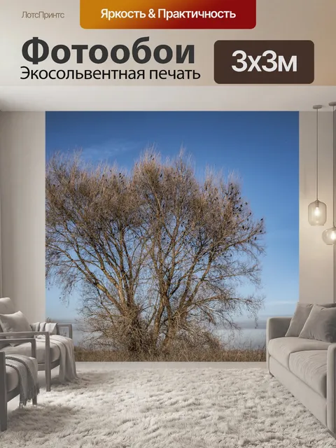 Фотообои Птичье убежище
