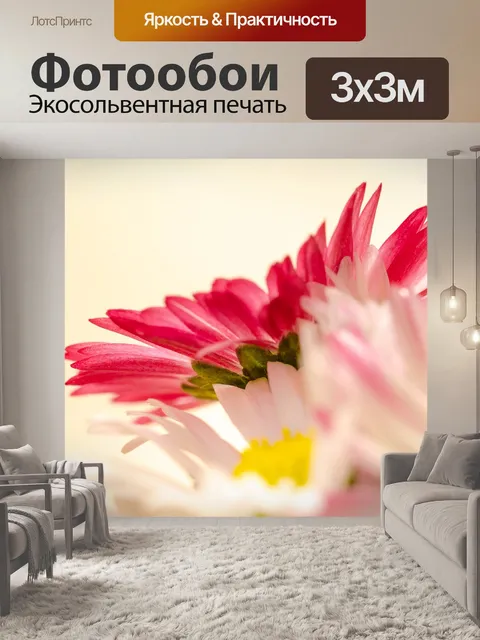 Фотообои Ромашки