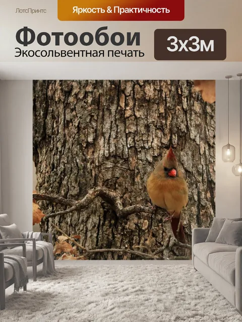 Фотообои Женский кардинал на ветке дерева
