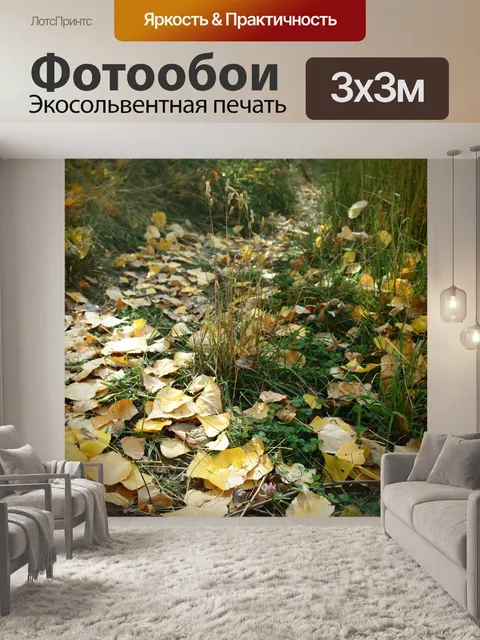 Фотообои Путь