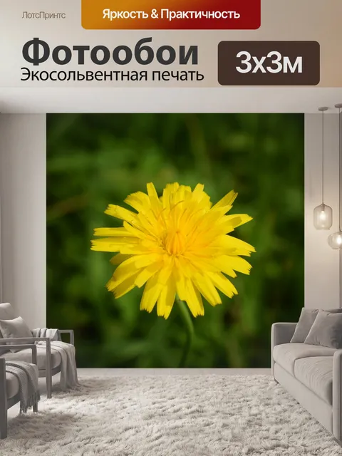 Фотообои Цветок