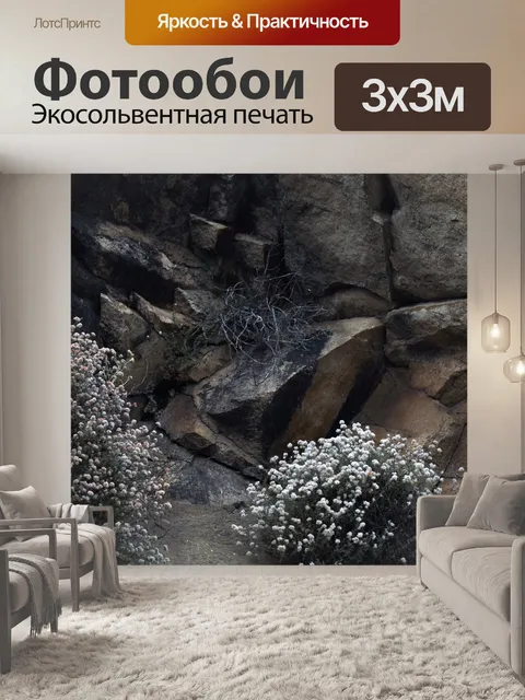 Фотообои цветы утеса