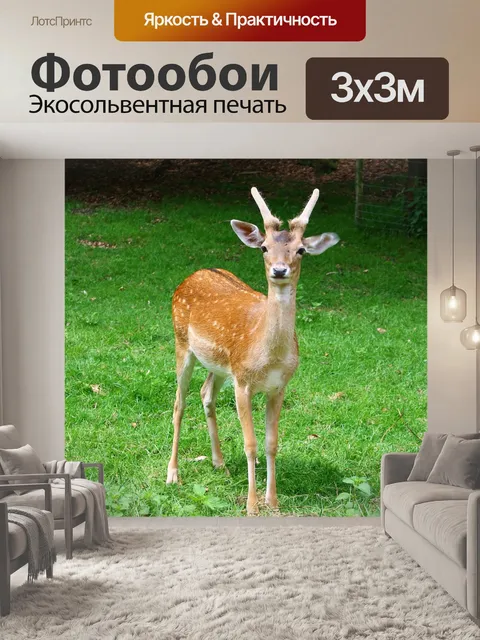 Фотообои Природа