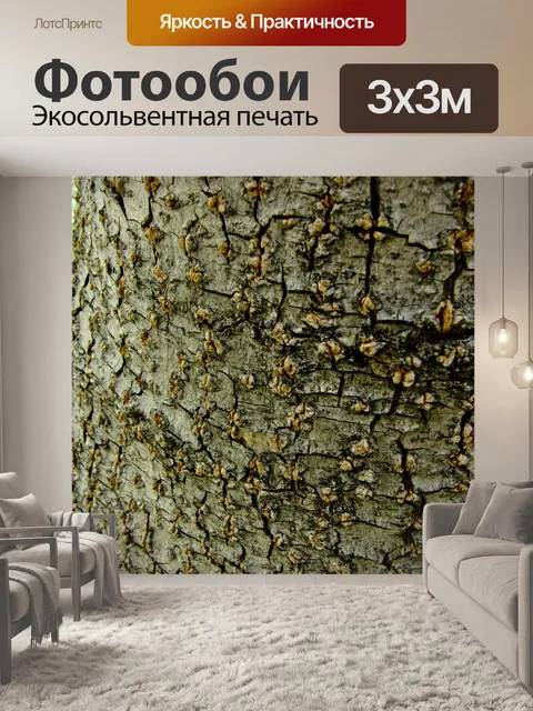 Фотообои Дерево Кора текстуры фона