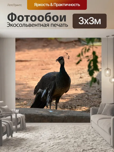 Фотообои Птица