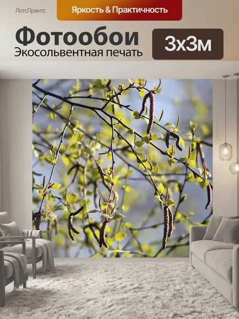 Фотообои Природа