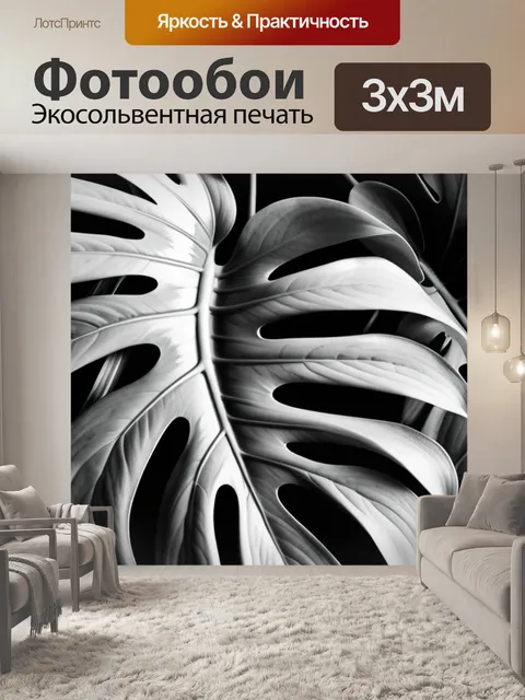 Фотообои с листьями монстеры чернобелый