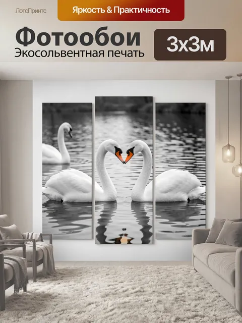 Фотообои Пара лебедей на воде