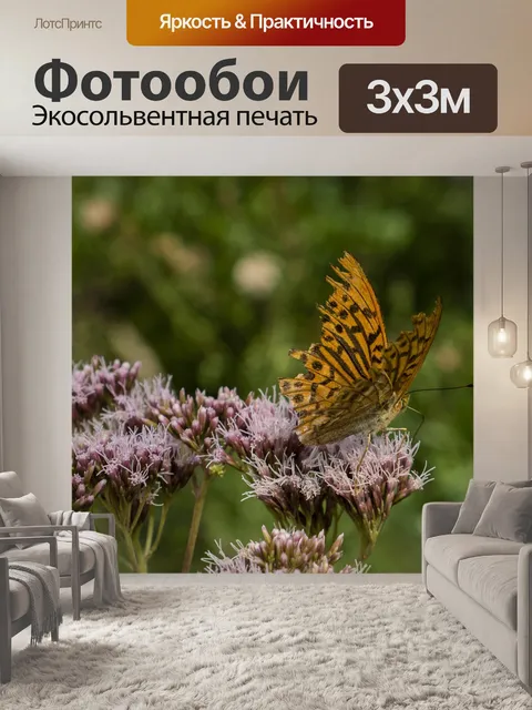 Фотообои Бабочка