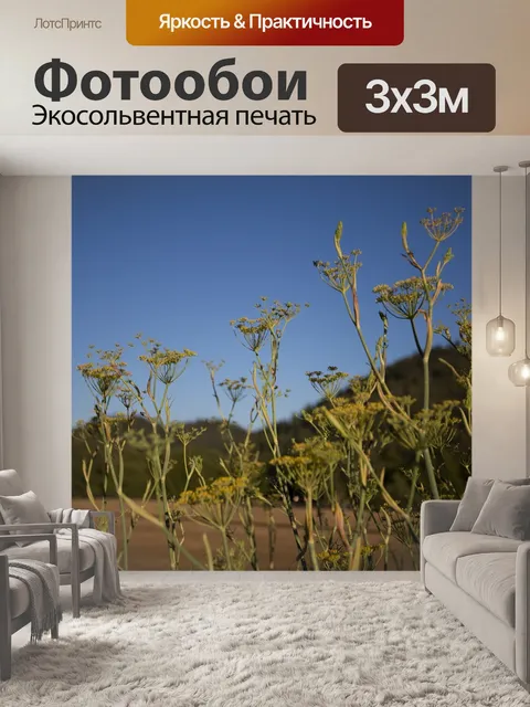 Фотообои Цветы