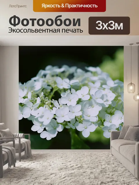 Фотообои Гортензия цветок цвести сад
