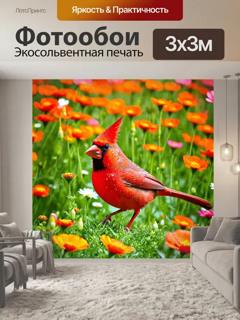 Фотообои кардинал, исследующий яркую цветочную поляну в летний день, с густыми цветами вокруг