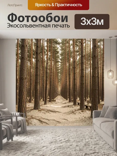 Фотообои Сосновый лес с тропинкой