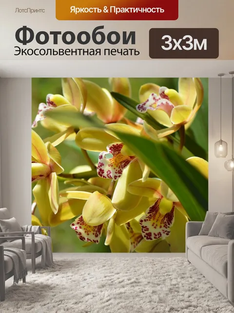 Фотообои Цветы