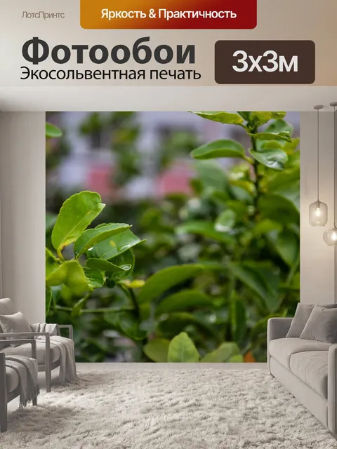 Фотообои Листья лимона