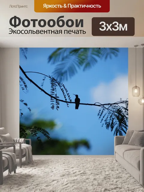 Фотообои Птицы