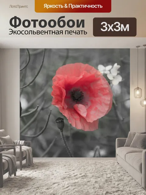 Фотообои Мак цветок