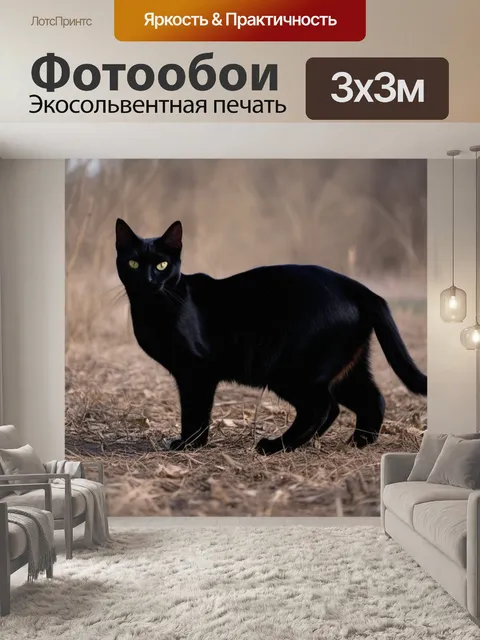 Фотообои черный