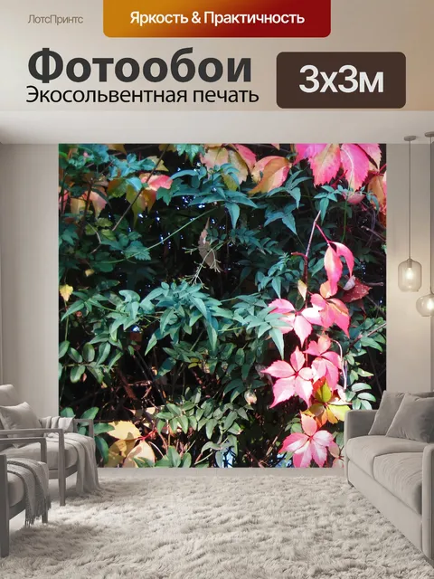 Фотообои красные и желтые листья