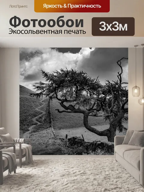 Фотообои Только дерево