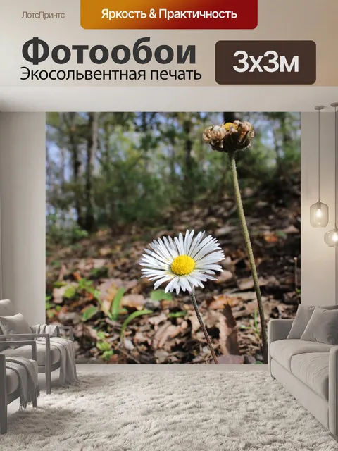 Фотообои Цветок
