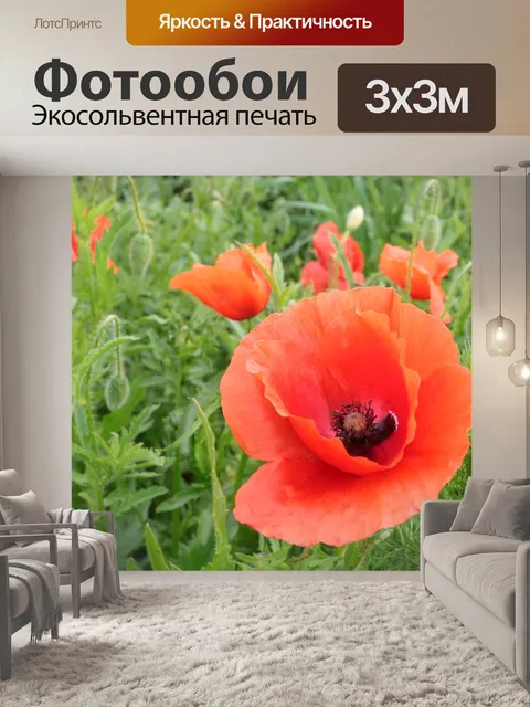 Фотообои Маки
