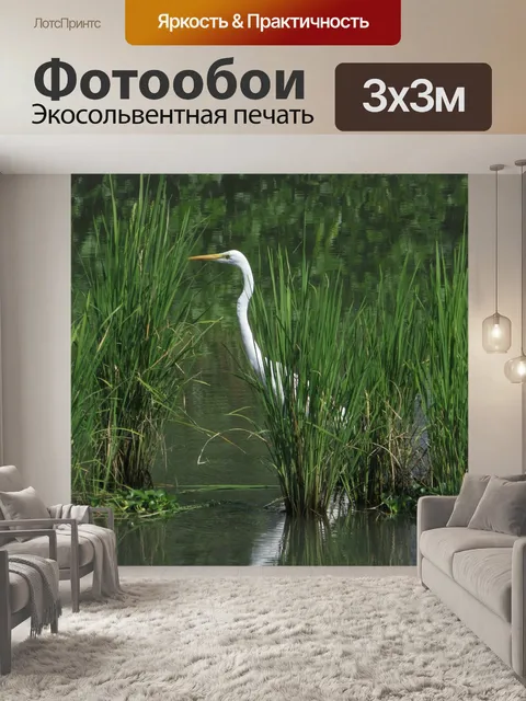Фотообои Большая белая цапля