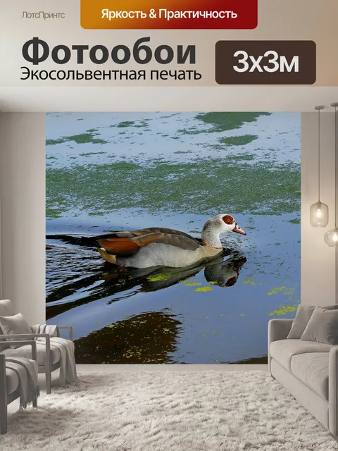 Фотообои Природа