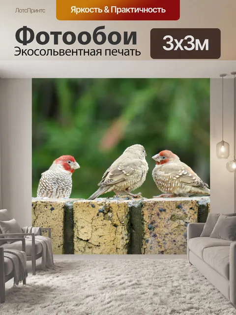 Фотообои Птицы