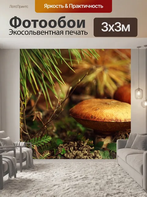 Фотообои Грибы