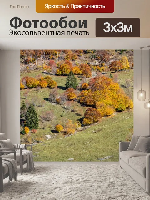 Фотообои Осень