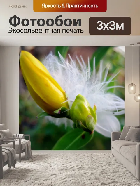 Фотообои перо попали в зверобоя