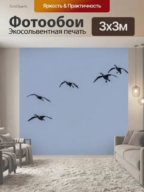 Фотообои Гуси
